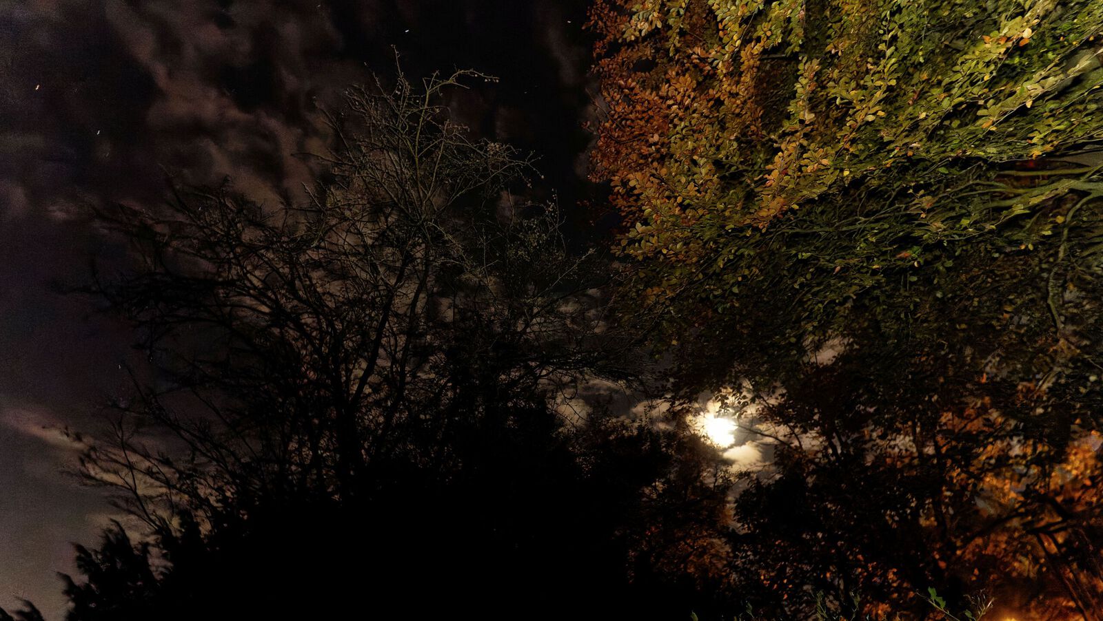 Avond/nacht - Bert Hobelman