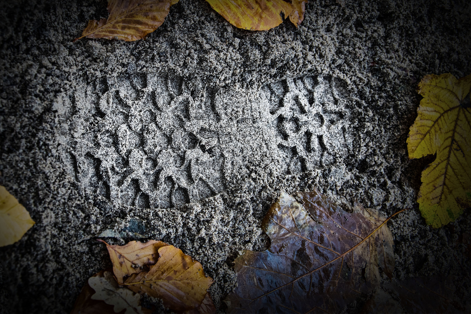 Schoenen en Lopen - Hennie Jansen