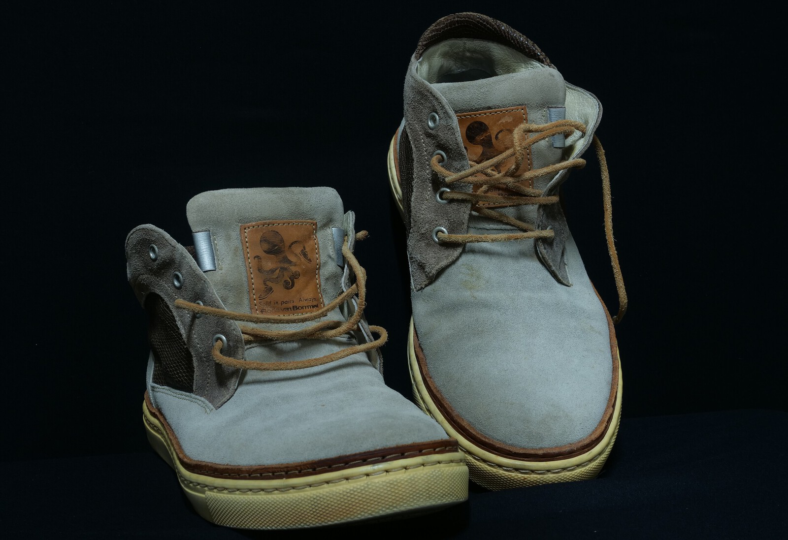 Schoenen en Lopen - Nico Tiemessen