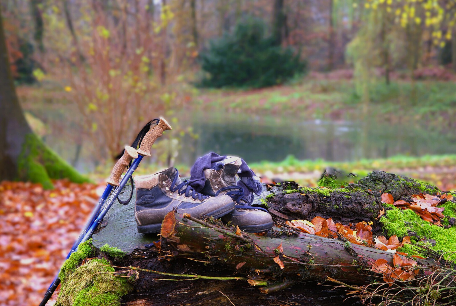 Schoenen en Lopen - Willie Graat