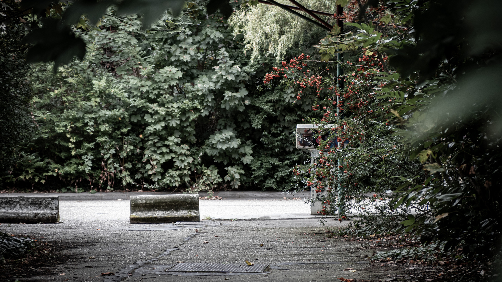 Stilte - Linda Overbeek