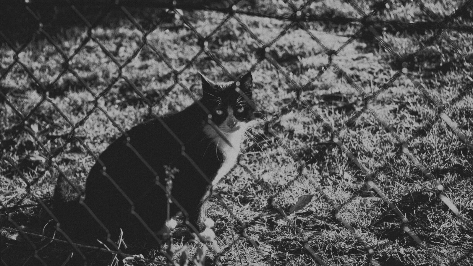 Opsluiten/Opgesloten - Anne Kiwitz