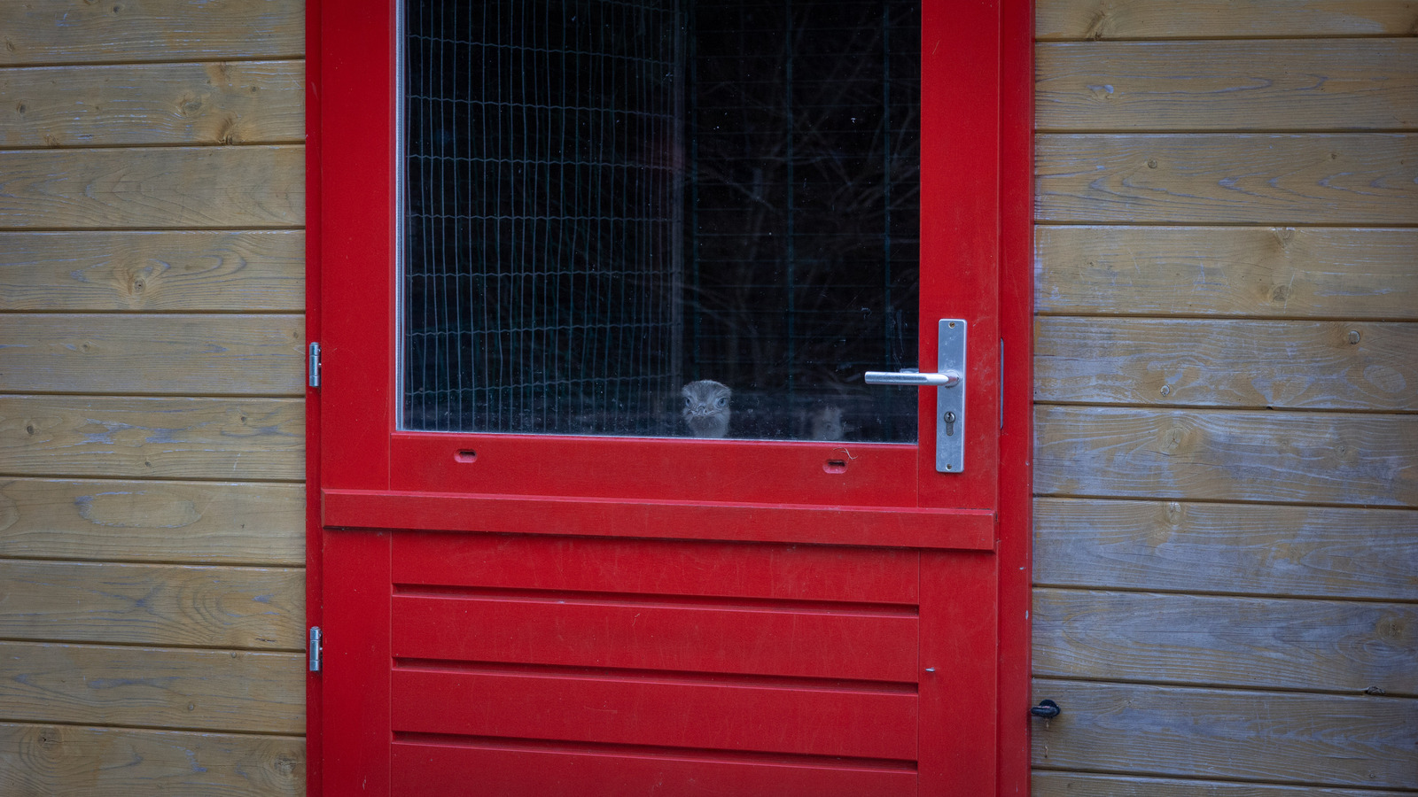 Opsluiten/Opgesloten - Karin Ormel