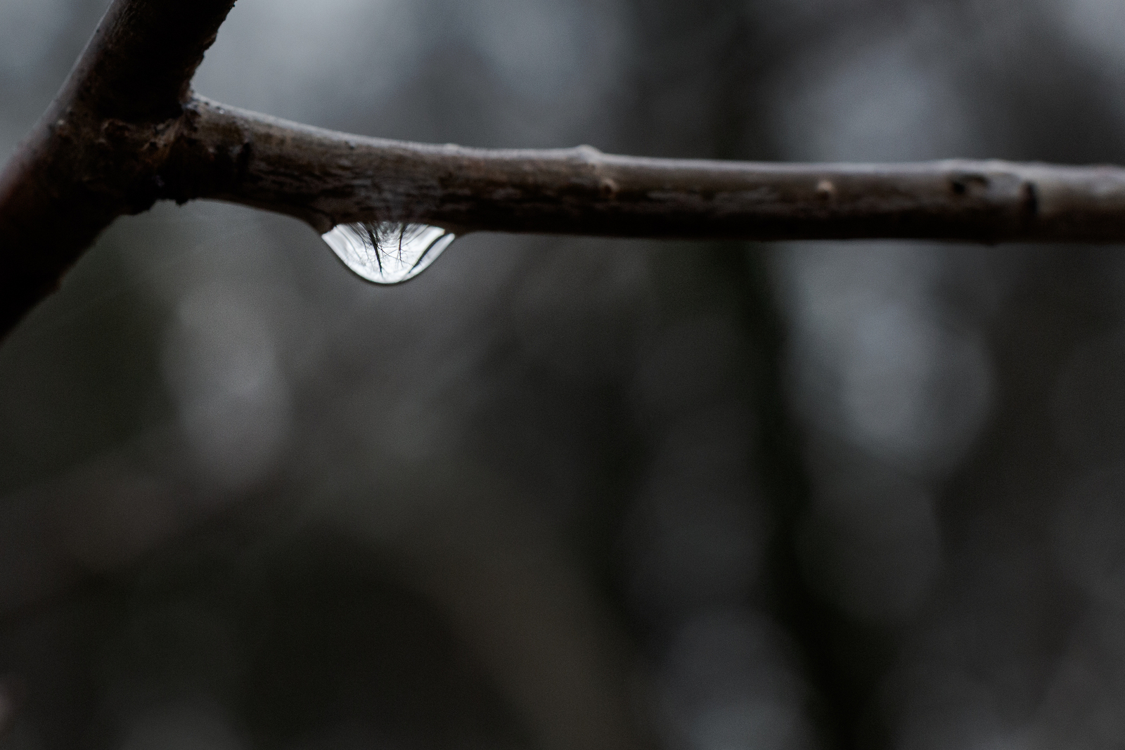 Opsluiten/Opgesloten - Paul Roelofs