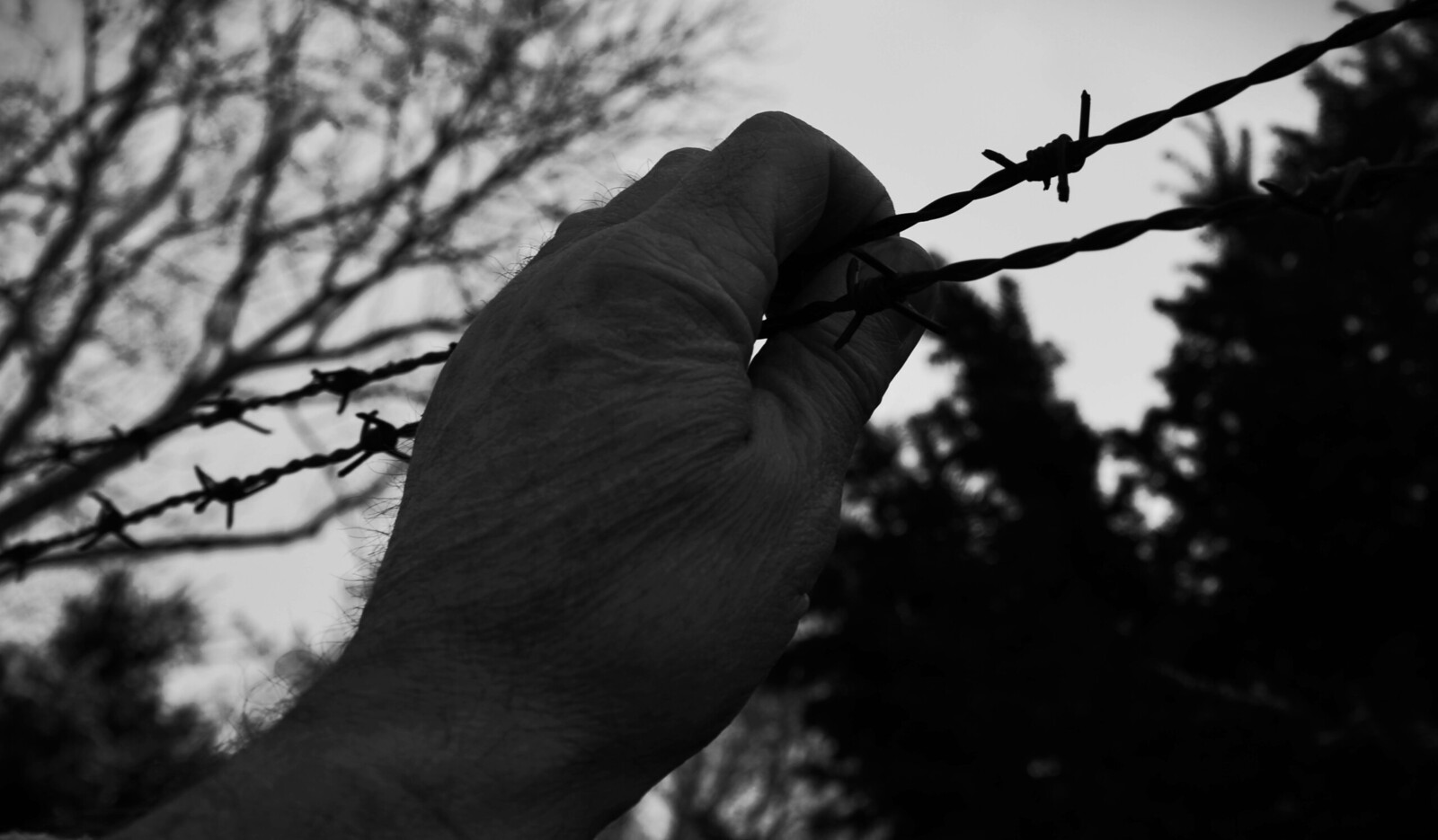 Opsluiten/Opgesloten - Willie Graat