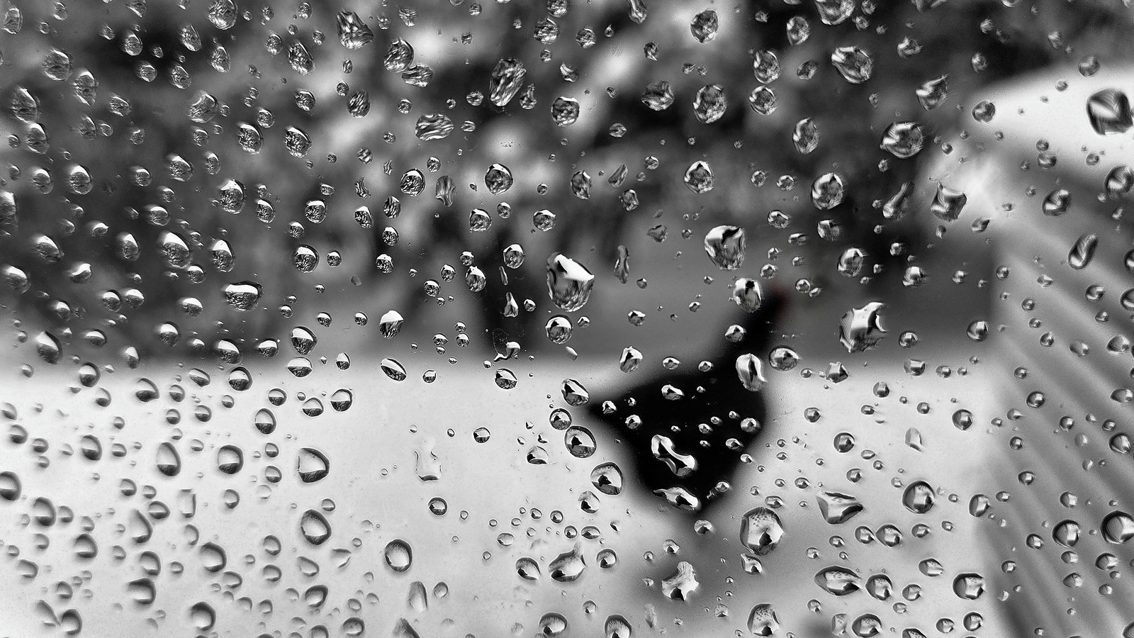 Beweging - Anne Kiwitz