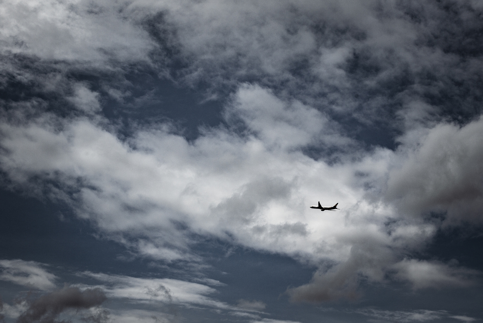 Beweging - Jan Hoetink