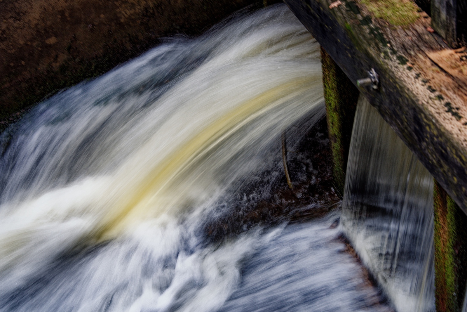 Beweging - Martin van der Kemp