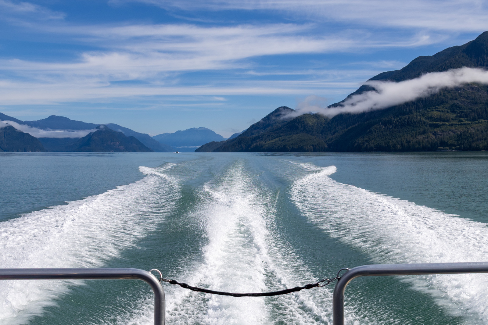 Beweging - Michel Schwartz