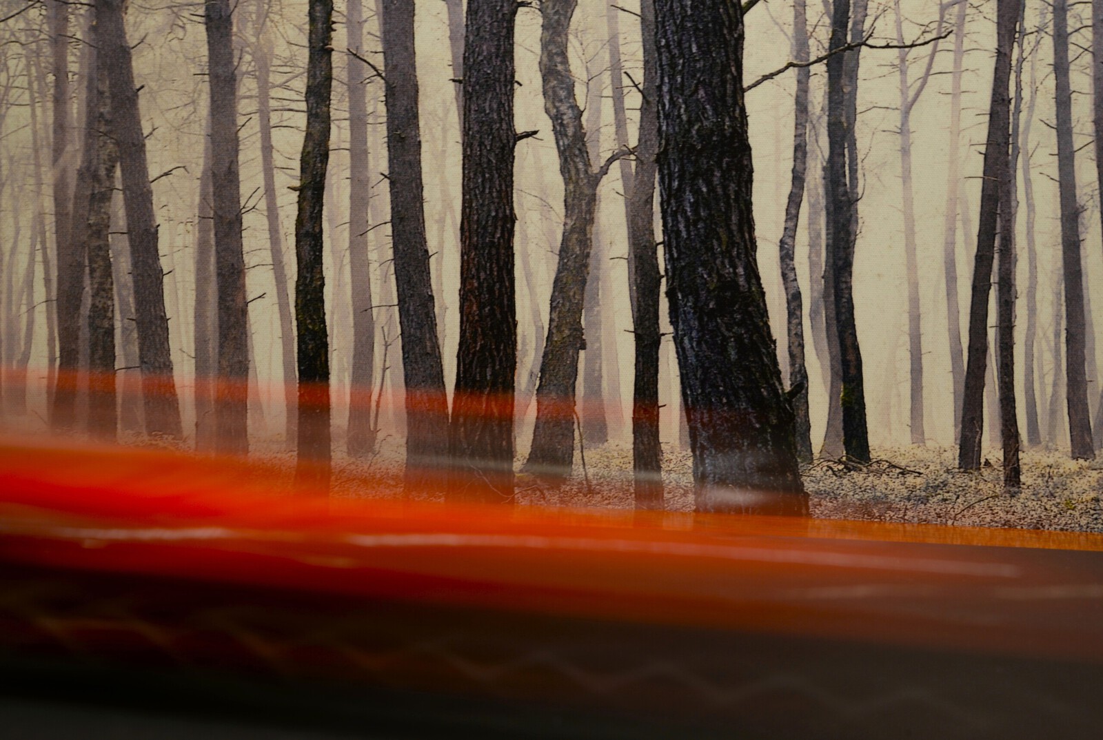 Beweging - Willie Graat