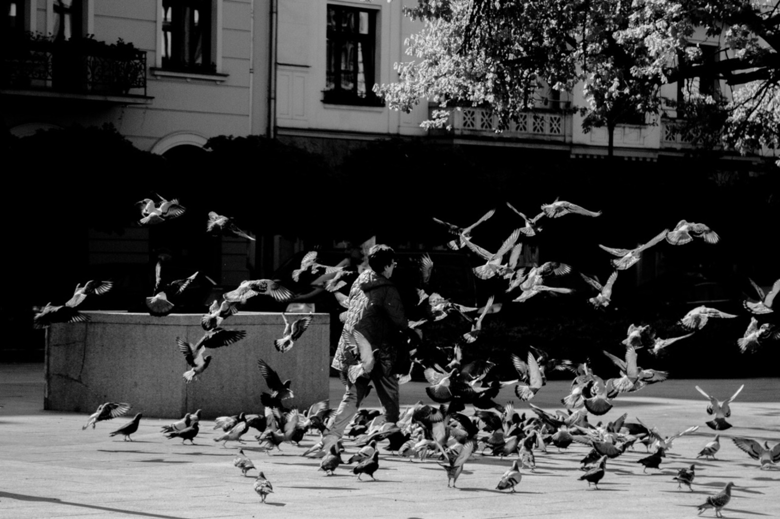 Beweging - Monique Hofstad