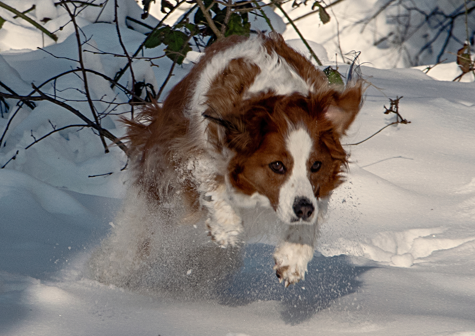 Beweging - Hennie Jansen
