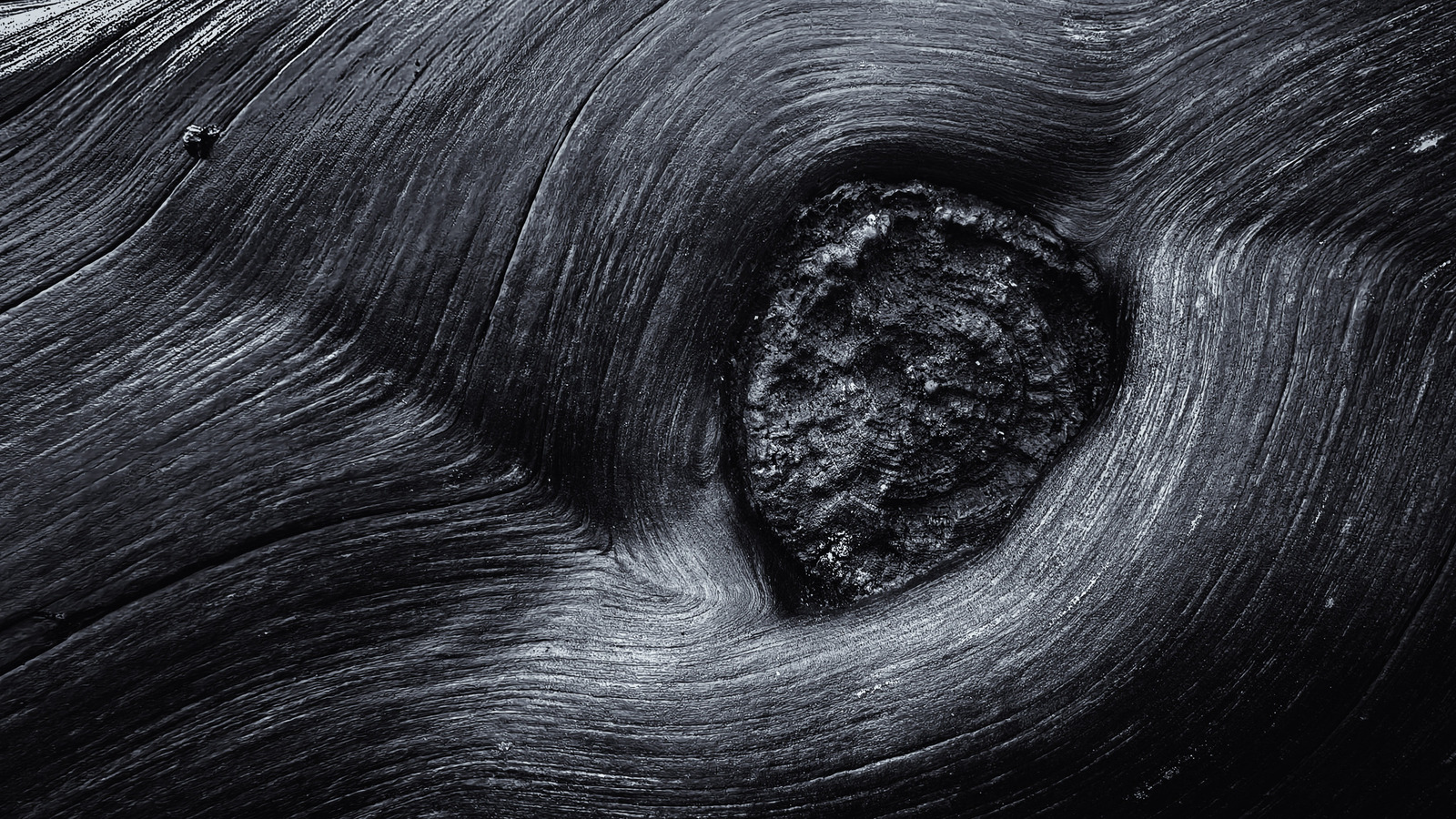 Bomen details - Michiel Hageman