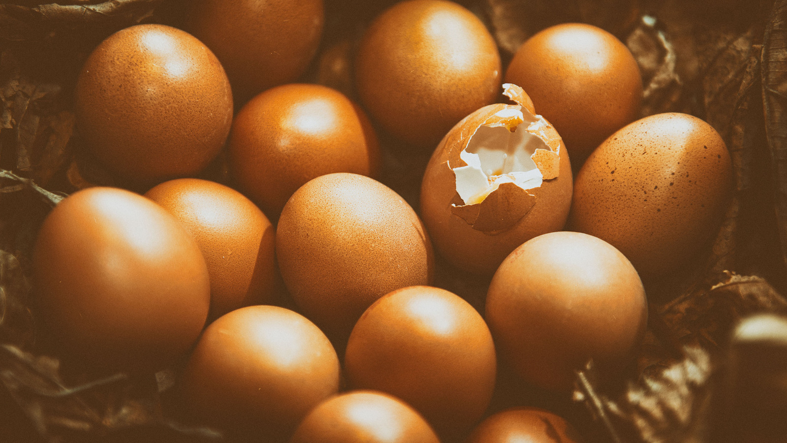 Ei - Michiel Hageman