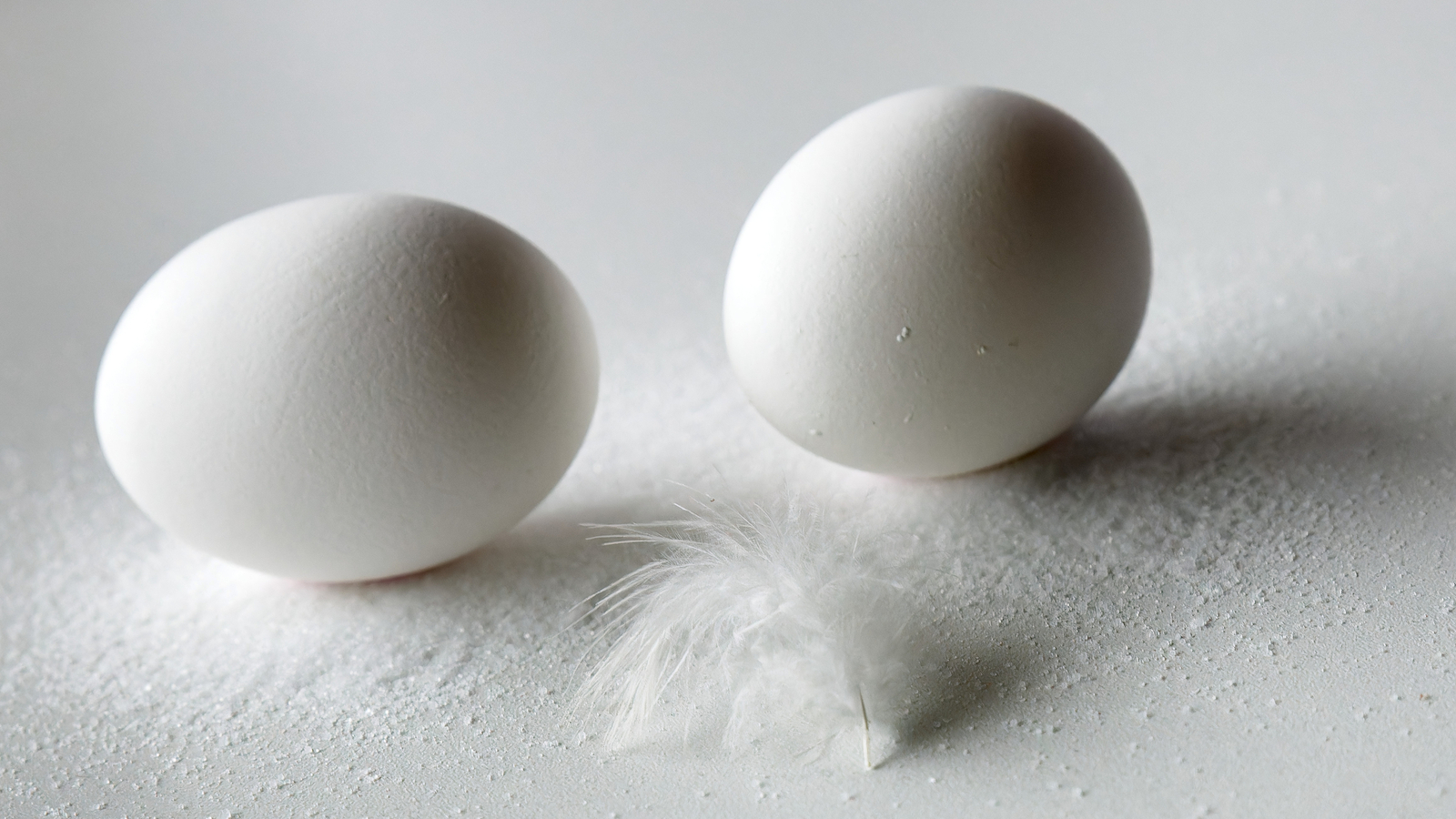 Ei - Martin van der Kemp