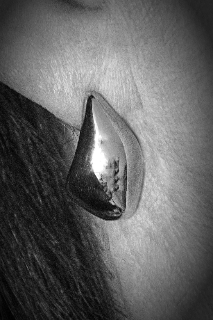 Zilver/Aluminium - Hennie Jansen