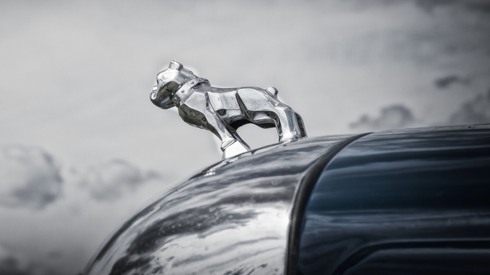 Zilver/Aluminium - Anne Kiwitz