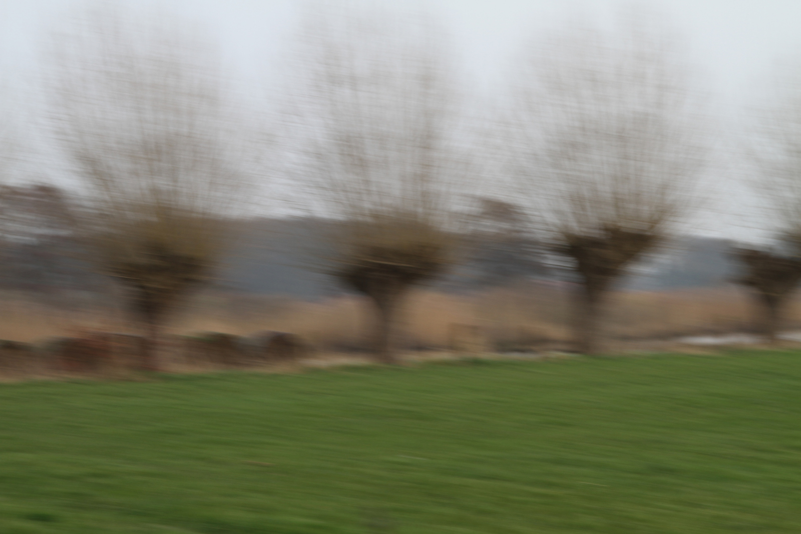 ICM - Petra van Loon 