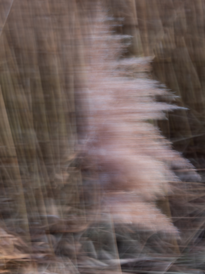 ICM - Nico Tiemessen