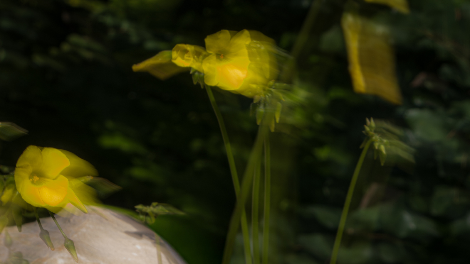 ICM - Linda Overbeek 