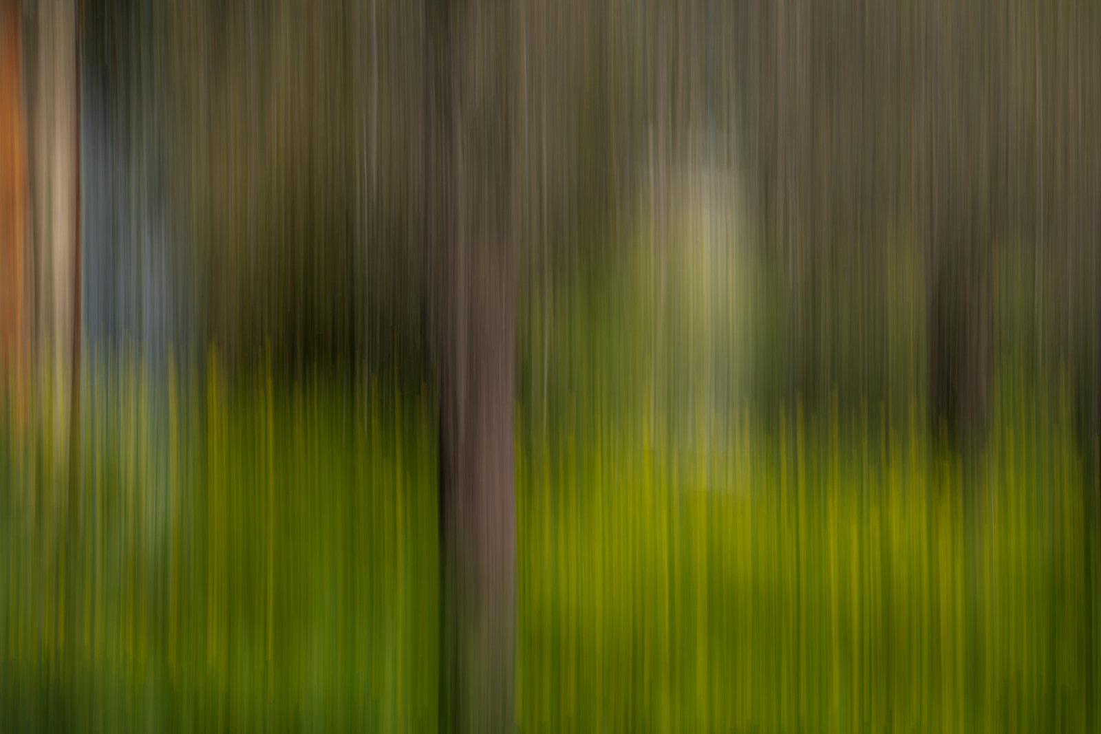 ICM - Linda Overbeek