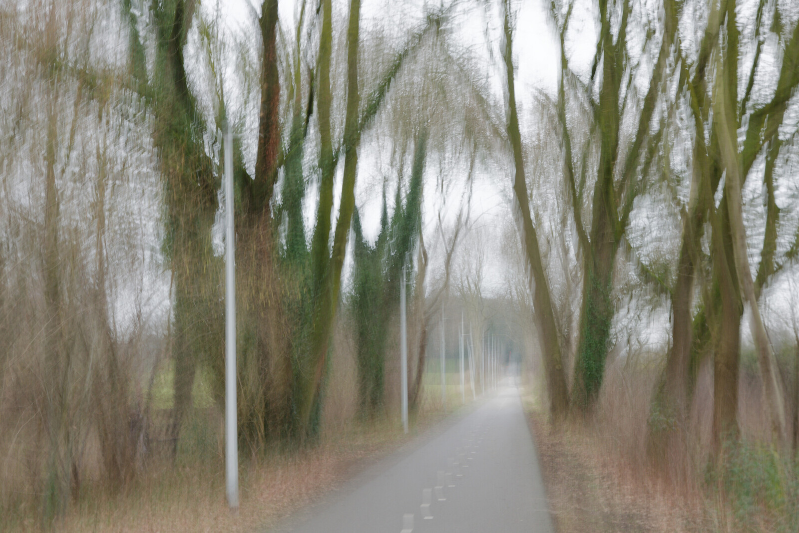 ICM - Martin van der Kemp