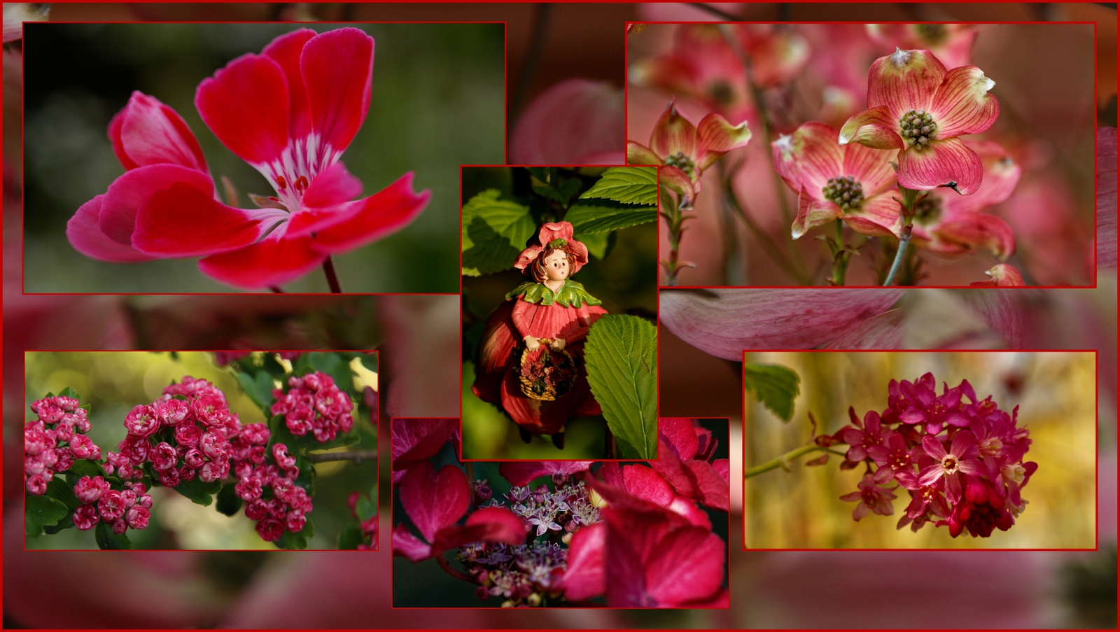 Color walk - Anne Kiwitz