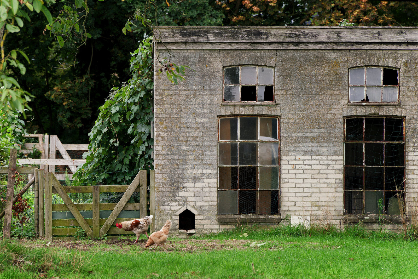 Rundum Hause - Martin van der Kemp