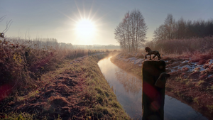 Fotografeer 2 x hetzelfde voorwerp, maar op twee verschillende plekken