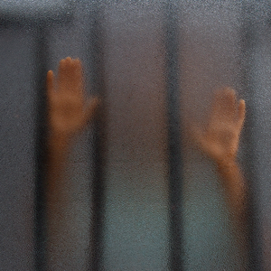 In het nieuwe jaar van 2026 beginnen we met volle enthousiasme aan onze nieuwe opdrachten