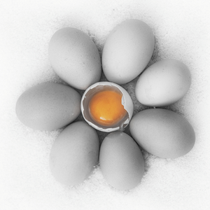 Een ei in allerlei vormen en maten 