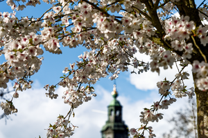 We gaan een dagje naar Zutphen en iedereen krijgt een kleur opgegeven om die te fotograferen. Aansluitend maakt iedereen daarvan een collage.
