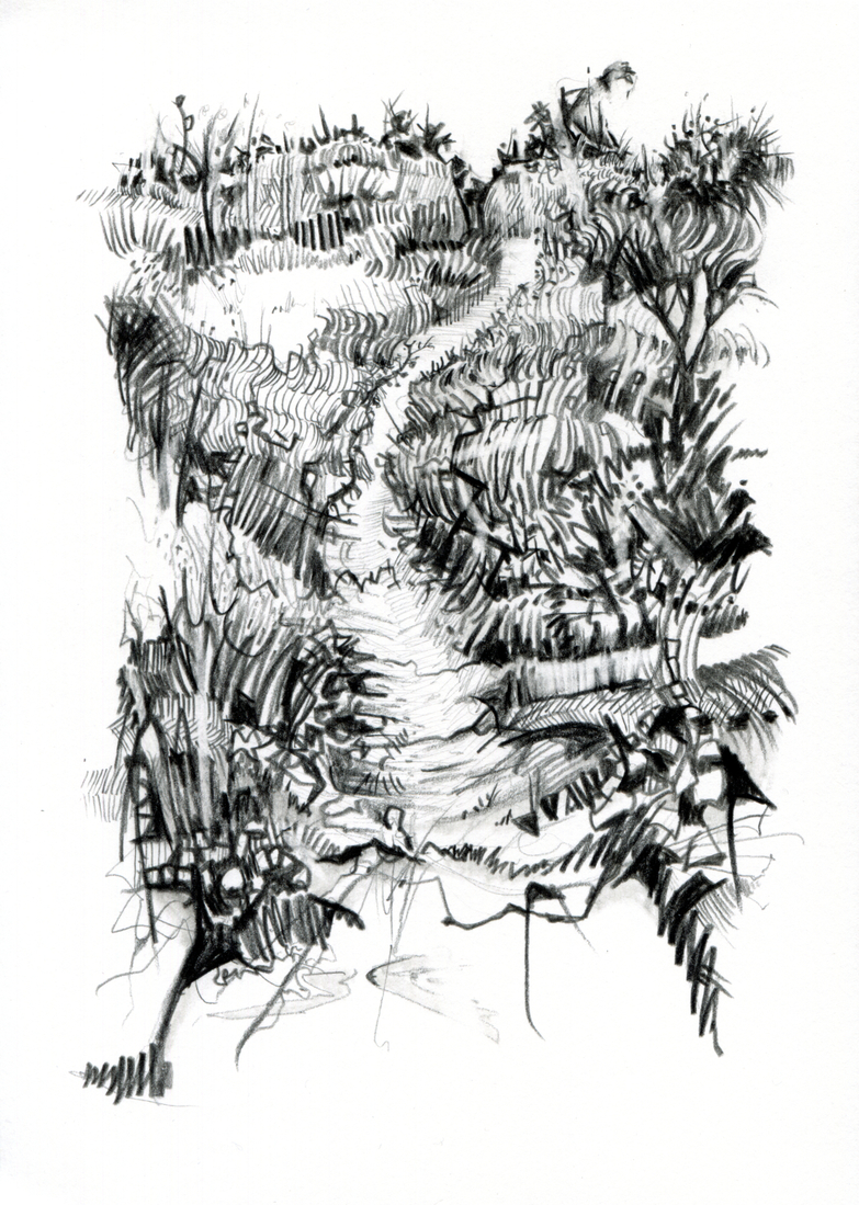 Struweel in de duinen 5