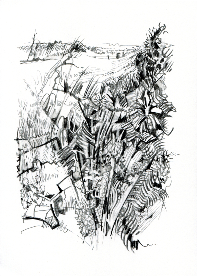 Struweel in de duinen 6