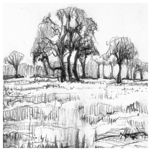 tekeningen van wandelingen in het bos, op het open veld, en in de tuin.