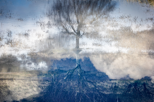 Deze fotowerken laten je aan het werk zetten. Is het wel echt wat je ziet, of word je op het verkeerde been gezet?