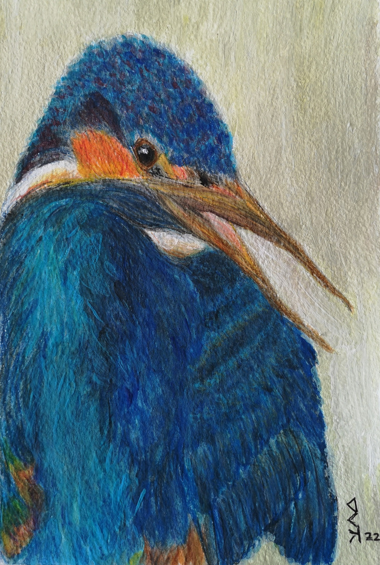 IJsvogel