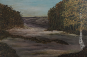 natuurlijke omgeving, strand, zee enzo