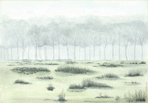 Gewassen pentekeningen van landschappen.