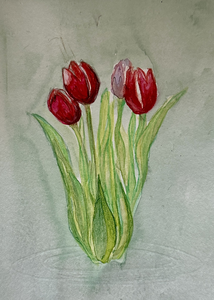 Aquarellen en pentekeningen van bloemen en planten