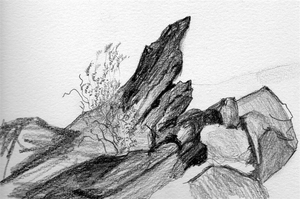 Pentekeningen en potloodtekeningen