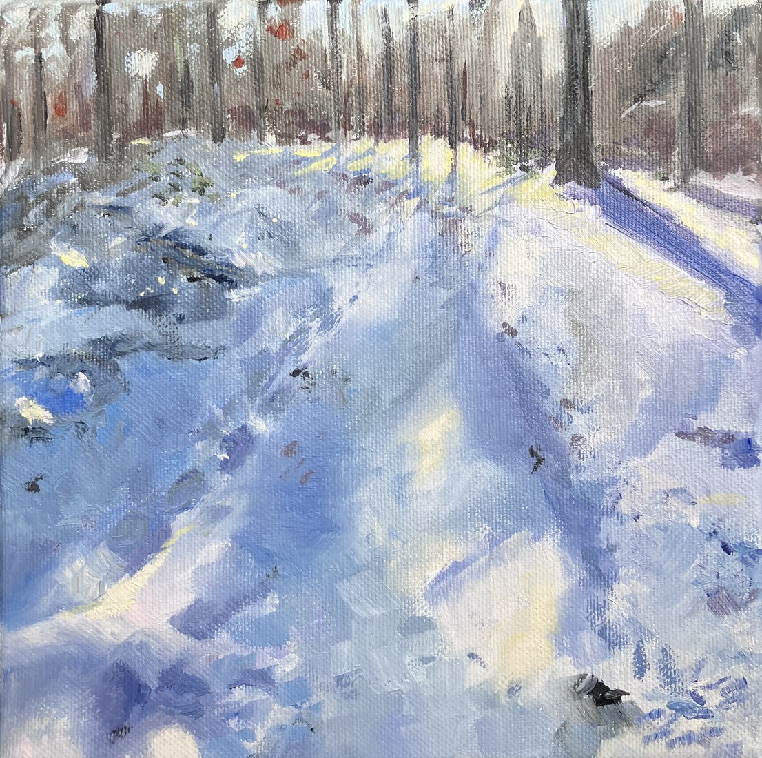 Nieuwe plantsoen ,winter.