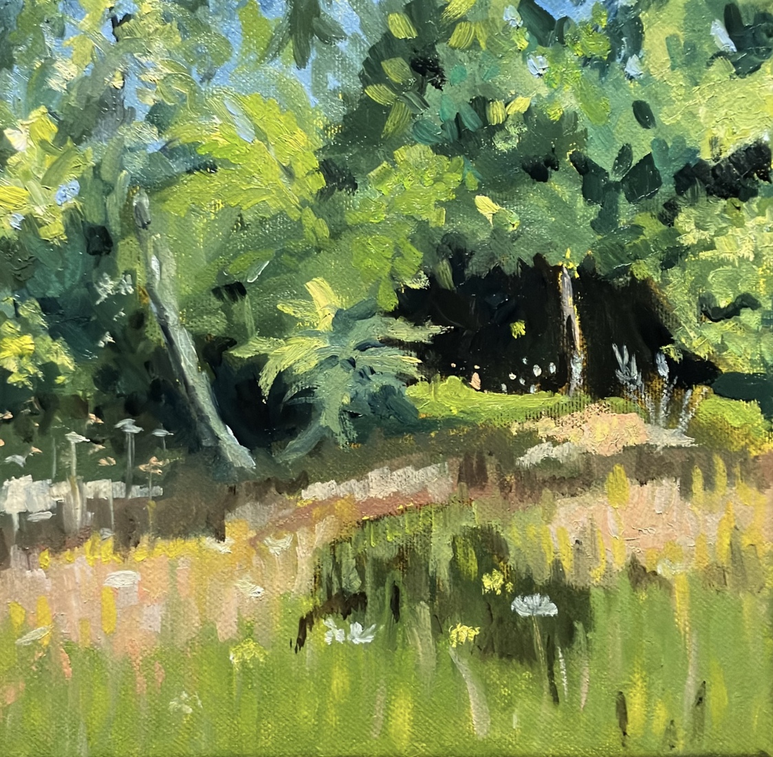 Nieuwe plantsoen, zomer