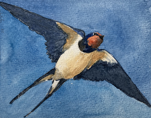 Vogels geschilderd als afscheidscadeau voor collega’s en cliënten.