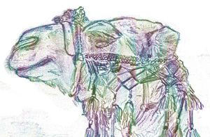 Illustraties bij eigen boeken