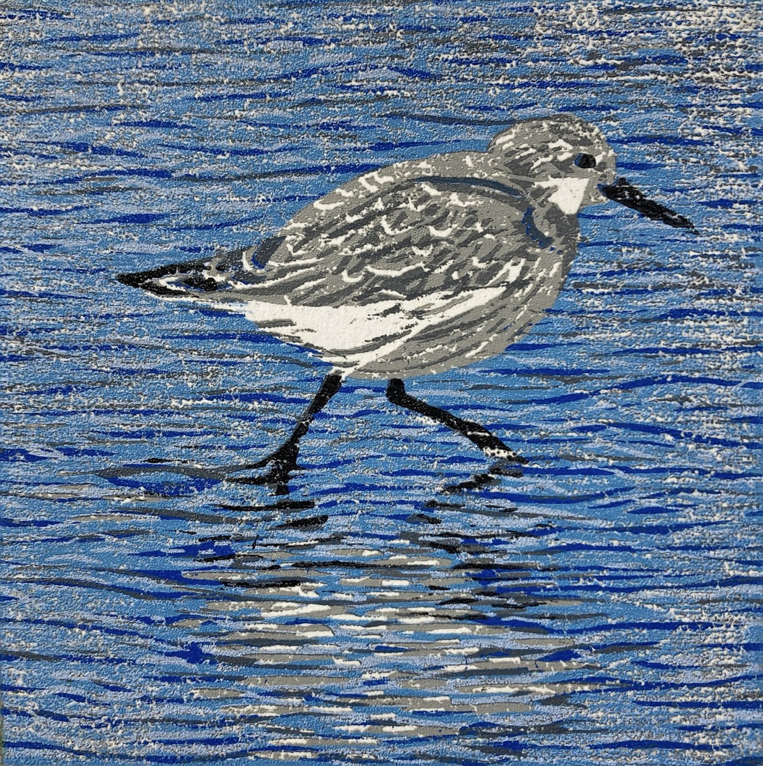 Drieteen strandloper