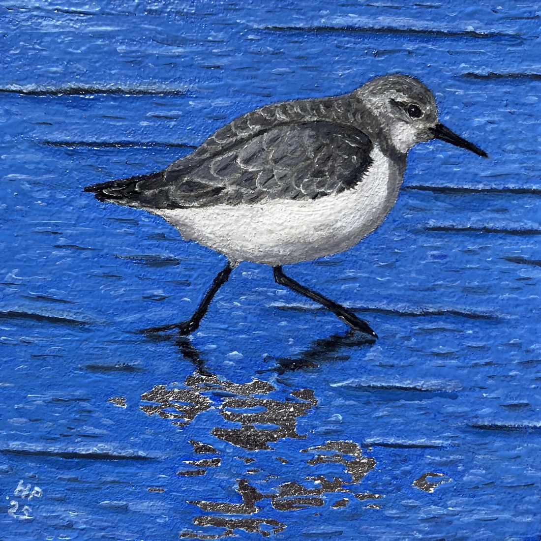 Drieteen strandloper