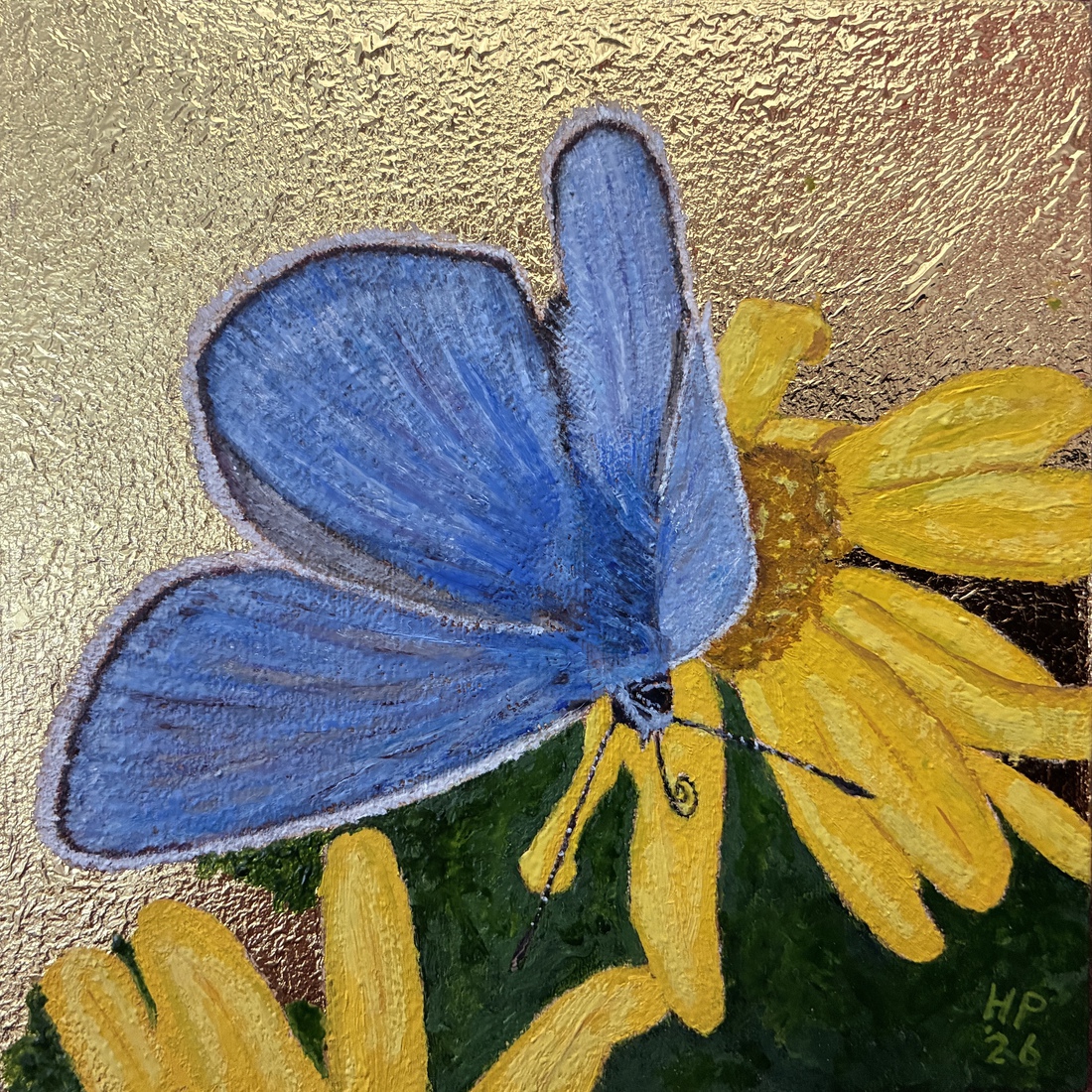 Common Blue