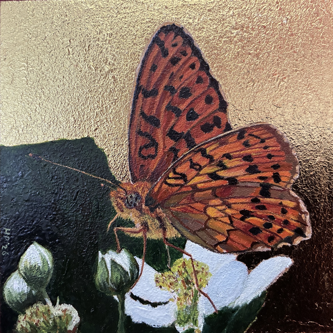 Marbled Fritillary