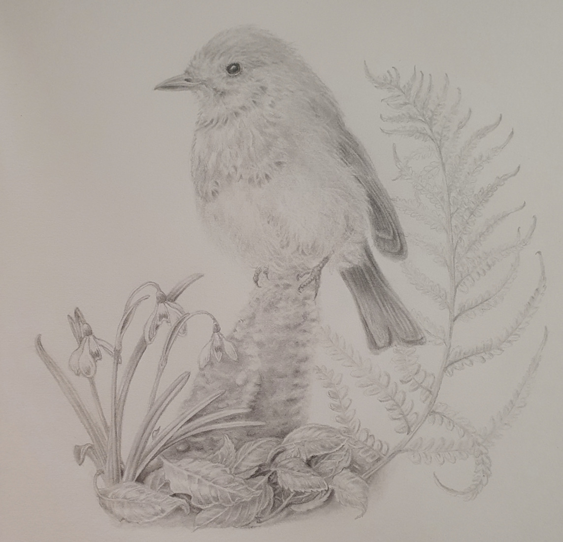 Roodborstje en varen